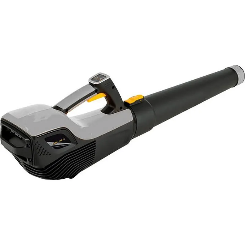 Compra SOPLADOR A BATERIA ALPINA PROFESIONAL LI 48V 2AH ALPINA 278502104/A21 al mejor precio