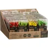 Compra PINCHOS DESECHABLES ECOLOGICOS (SET 20U) SURTIDOS CMP KA4375 al mejor precio