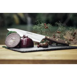 Compra CUCHILLO SERIE NORDIKA CHEFF ARCOS 166800 al mejor precio