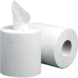 PAPEL SECAMANOS 143 M (6...