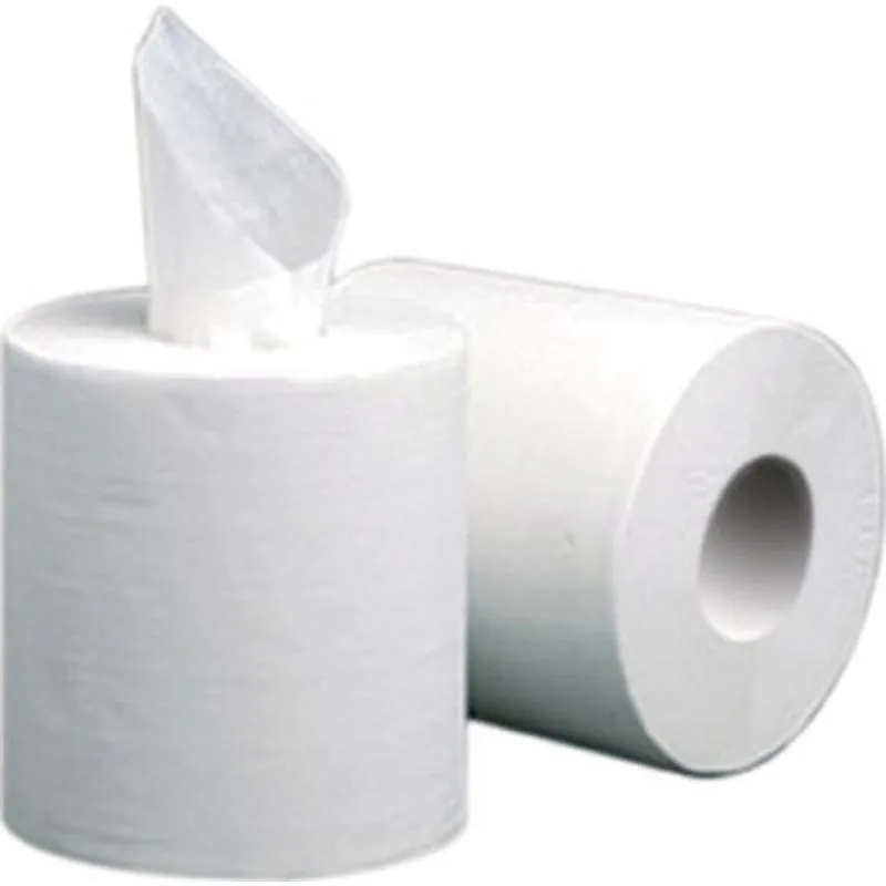 Compra PAPEL SECAMANOS 143 M (6 ROLLOS) 2 CAPAS GC J288600.1 al mejor precio