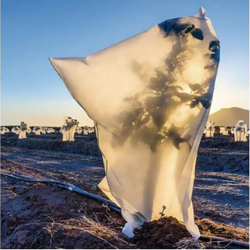 Compra CAPUCHA PROTECCION PLANTA 17 GR 2 UNIDADES 1,5 X 1,8 M BIOTOP B2560 al mejor precio