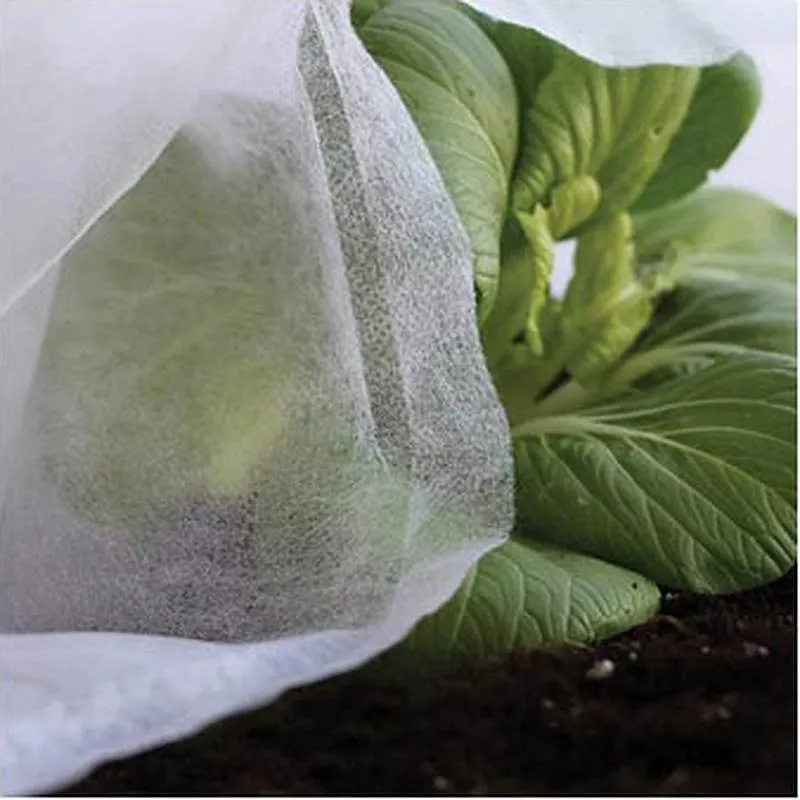 Compra TELA PROTECCION CULTIVO 30 GR 02X10 M B2553 al mejor precio