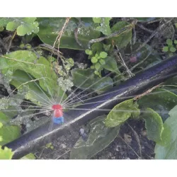 Compra MICRODIFUSOR MAX 360º 10 UNIDADES AQUA CONTROL 903210 al mejor precio