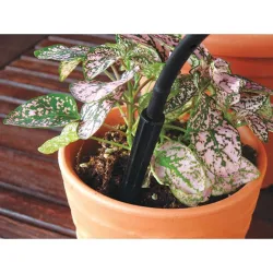 Compra GOTERO + PIQUETA SPIKE ESPADA 2 L/H 20 UNIDADES AQUA CONTROL 904920 al mejor precio