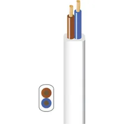 Compra CABLE MANGUERA PLANA H03VVH2-F 2 X 0,75 MM 10MT BLANCO BRICABLE 0702000SBRBR010 al mejor precio