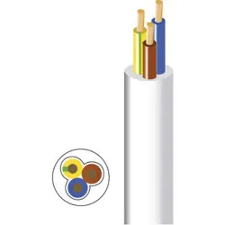 Compra CABLE MANGUERA REDONDA 3 X 2,5 MM 10MT BLANCO BRICABLE 0903002MRBR010 al mejor precio