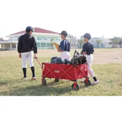 Compra CARRO MULTIUSO PLEGABLE 106X53X100 CM COLEMAN 2000035214 al mejor precio