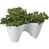 Compra MACETERO APILABLE TRIPLE IVY PLANTER BLANCO KETER 205565 al mejor precio