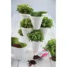 Compra MACETERO APILABLE TRIPLE IVY PLANTER BLANCO KETER 205565 al mejor precio