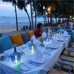 Compra LUZ REGULABLE INTERIOR BOTELLA BOTTLELIGHT BLANCO FRIO 15/40 LM NON 28000421 al mejor precio