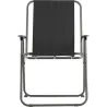 Compra SILLA PICNIC GRIS OSCURO 57X47X84 CM IMPORT 89645 al mejor precio