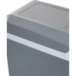 Compra NEVERA RIGIDA TERMOELECTRICA 12 V 48 W 8 L IMPORT 89863 al mejor precio