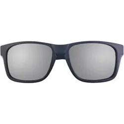 Compra GAFA PROTECCION BULLDOG SOLAR ESPEJO PLATA PEGASO 193.02 al mejor precio