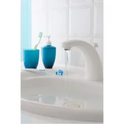 Compra PINTURA SANITARIOS RENOVATION PERFECTION 2 X 500 ML BLANCO V33 119669 al mejor precio