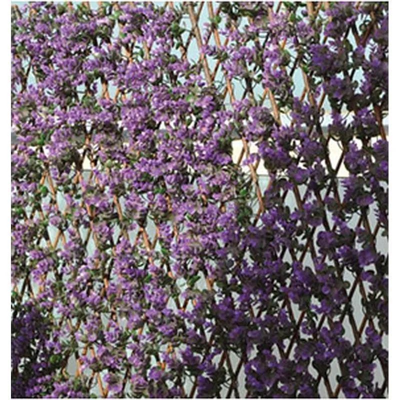 Compra CELOSIA EXTENSIBLE MIMBRE LILA 01X1,5M NOVAGARDEN 250004 al mejor precio