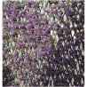 Compra CELOSIA EXTENSIBLE MIMBRE LILA 01X1,5M NOVAGARDEN 250004 al mejor precio