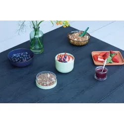 Compra BOL DESAYUNO CON TAPA 0,5 L VERDE JADE BRABANTIA 204265 al mejor precio