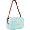 NEVERA RIGIDA RETRO POLAR BOX 20 L VERDE AGUA CLASSIC POLISUR PLB20/V/CLASS