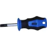 Compra DESTORNILLADOR PUNTA PLANA CORTO SL 5,5 X 38 MM NIVEL 00992 al mejor precio