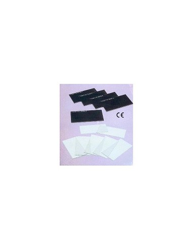Compra Cubrefiltro policarbonato 110x55 incoloro CLIMAX 2201099101000 al mejor precio