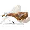 Compra JAMONERO INOX OSCILANTE CABEZA GIRATORIA VIN BOUQUET FIJ1233 al mejor precio