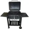 Compra BARBACOA CARBON CON TAPA Y DOS MESAS AUXILIARES 121,5X62X104CM NATUUR FT01-015 al mejor precio