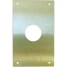 Compra PLACA CERRADURA 80X120MM BOCALLAVE REDONDA diametro28MM M-51/80120R-28, LATON MATE CLOVAN 51331 al mejor precio
