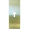 Compra PLACA CERRADURA 80X250MM BOCALLAVE PERA M-51/80250P, LATON MATE CLOVAN 51411 al mejor precio