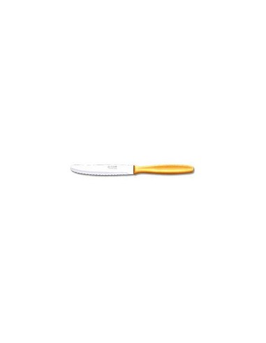 Compra Cuchillo mesa marfil postre 10,5 cm ARCOS 370100 al mejor precio