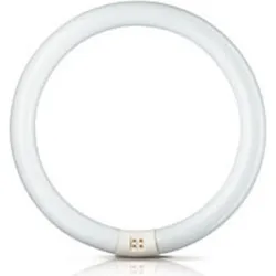 FLUORESCENTE CIRCULAR...