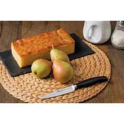 Compra CUCHILLO FORJADO SERIE CLARA MONDADOR 10 CM ARCOS 210100 al mejor precio