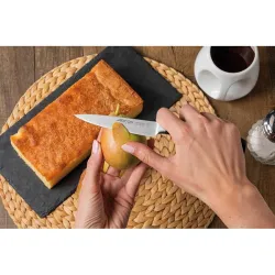 Compra CUCHILLO FORJADO SERIE CLARA MONDADOR 10 CM ARCOS 210100 al mejor precio