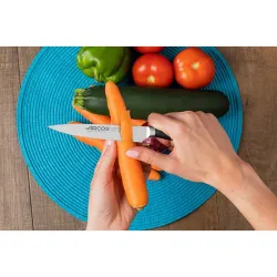 Compra CUCHILLO FORJADO SERIE CLARA VERDURAS 13 CM ARCOS 211100 al mejor precio