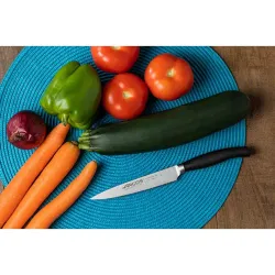 Compra CUCHILLO FORJADO SERIE CLARA VERDURAS 13 CM ARCOS 211100 al mejor precio