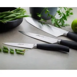 Compra CUCHILLOS FORJADOS SERIE CLARA ESTUCHE 3 UDS ARCOS 212000 al mejor precio