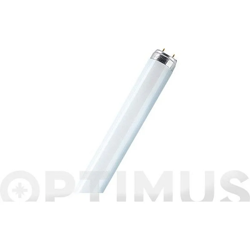 Compra FLUORESCENTE TRIFOSFORO G13 18W/830 OSRAM 717810 al mejor precio