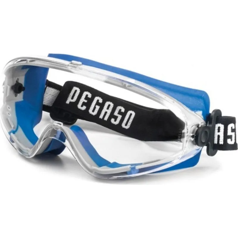 Compra GAFA PROTECCION EOS 22 INCOLORA PEGASO 22 al mejor precio