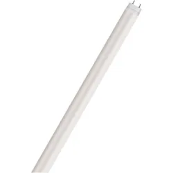 FLUORESCENTE TRIFOSFORO L...