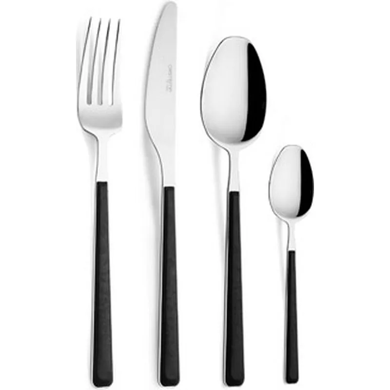 Compra CUBERTERIA 16 PIEZAS CHARLIE NEGRO 2,5 MM FPCS420M001892L00H al mejor precio