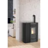 Compra ESTUFA DE PELLET APIA 10 KW NEGRA NON 104138WI al mejor precio