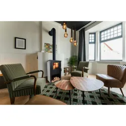 Compra ESTUFA DE LEÑA PELLA S MARFIL 5,4 KW NON THAPELS-M al mejor precio