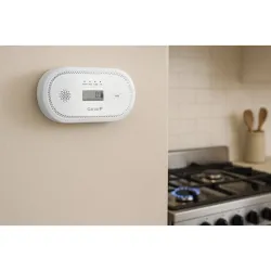 Compra DETECTOR MONOXIDO DE CARBONO CO BRAN 85DB INDICADOR LED TEST 10 AÑOS GARZA 430085C al mejor precio