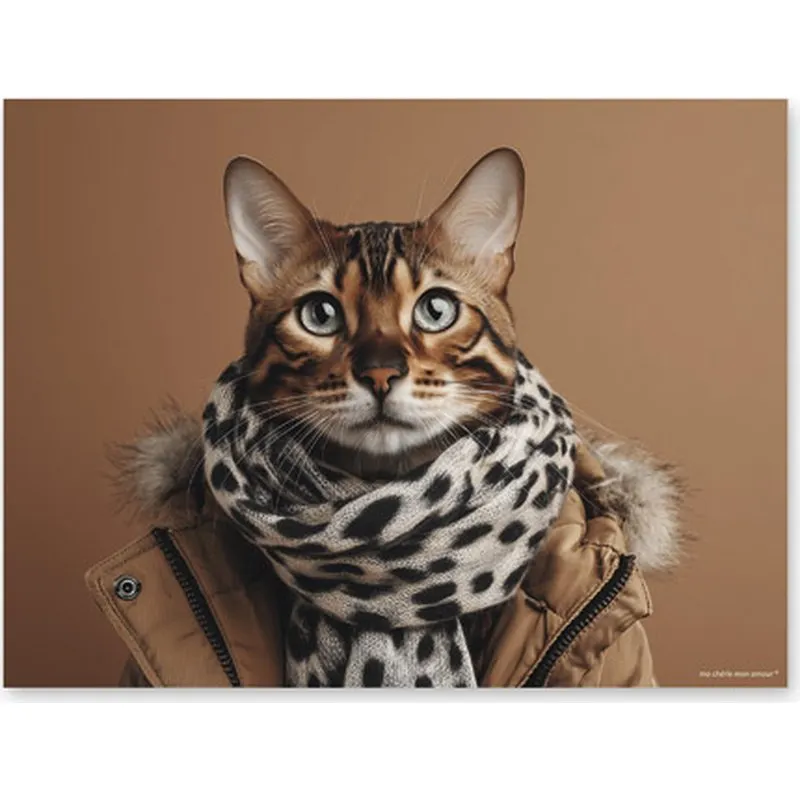 Compra MANTEL INDIVIDUAL FUNNY CATS PRINCESSE 40X30CM MA CHERIE 1712V420020 al mejor precio