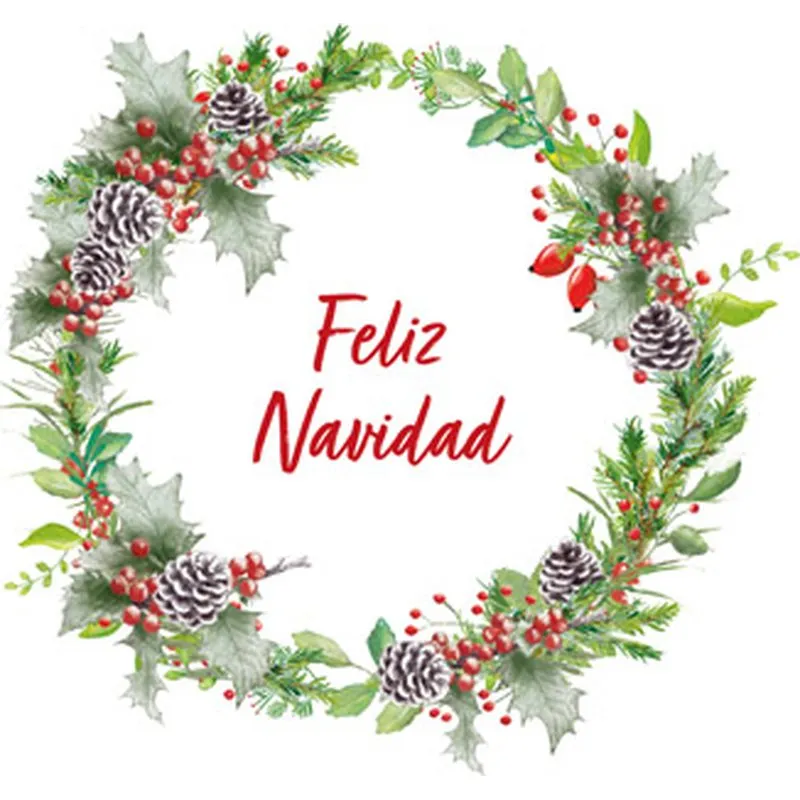 Compra SERVILLETA DECORADA FELIZ NAVIDAD 33X33CM 33317690 al mejor precio
