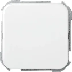 PLACA CIEGA BLANCO S31...