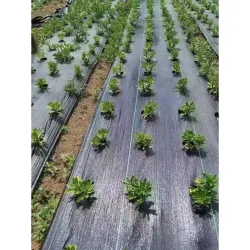 MALLA ANTIHIERBA 100GR NEGRA 02X10M NATUUR 23026096