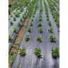 MALLA ANTIHIERBA 100GR NEGRA 02X10M NATUUR 23026096