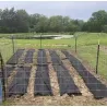 MALLA ANTIHIERBA NO TEJIDA 80GR MARRON 1,5X10M NATUUR 23026104