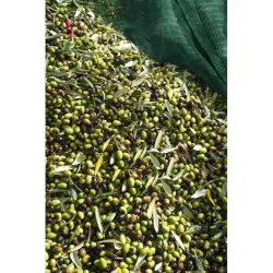 MALLA PARA RECOLECTAR ACEITUNAS DARK GREEN 80GR 08X12M NATUUR 23026112